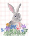Image Not Available